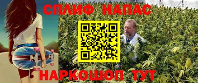 ALPHA PVP Пугачёв