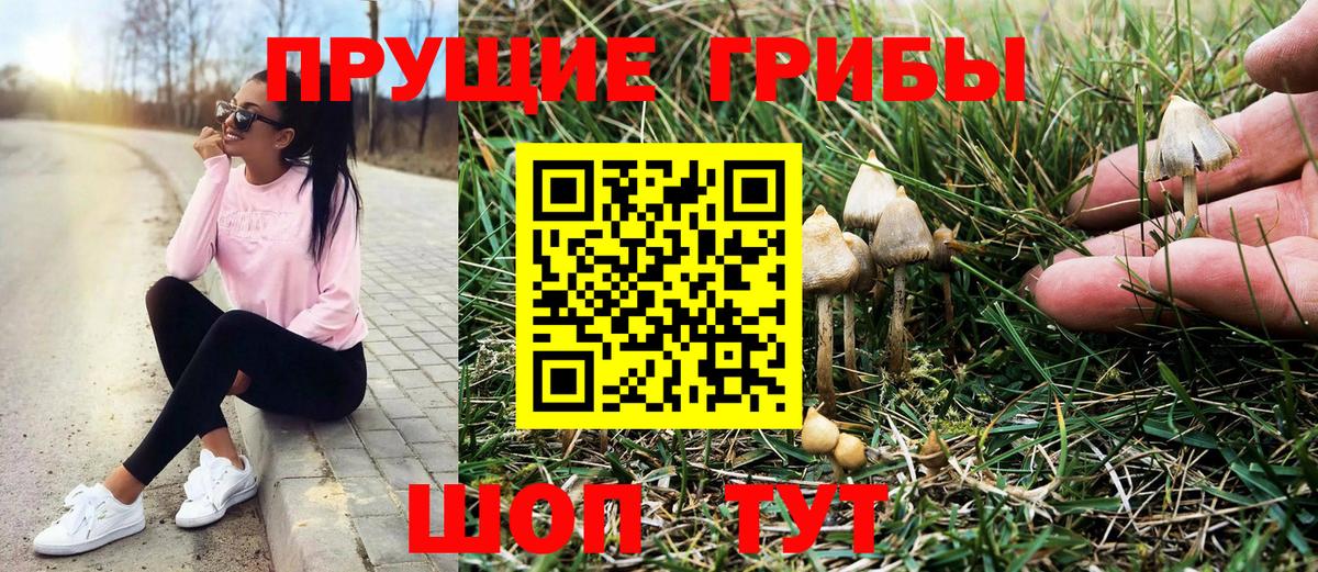 Псилоцибиновые грибы Cubensis  Вход с VPN  Нарткала 